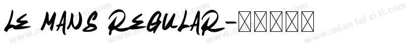 le mans Regular字体转换